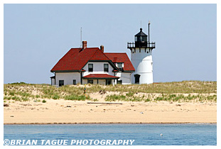 RACE POINT LIGHT