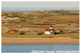 RACE POINT LIGHT
