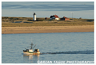 RACE POINT LIGHT