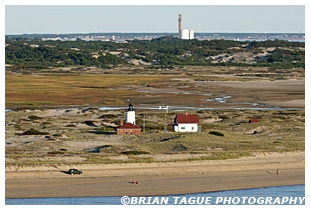 RACE POINT LIGHT