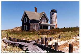 SANDY NECK LIGHT