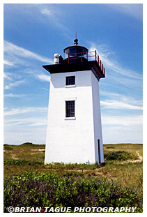 WOOD END LIGHT