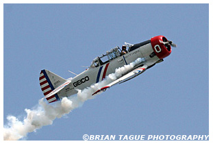 Skytypers SNJ-2