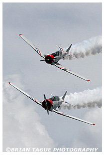 Skytypers SNJ-2