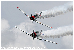 Skytypers SNJ-2