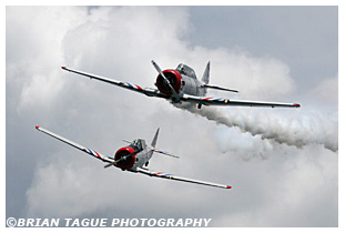 Skytypers SNJ-2