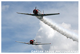 Skytypers SNJ-2