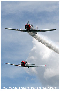 Skytypers SNJ-2