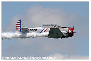 Skytypers SNJ-2