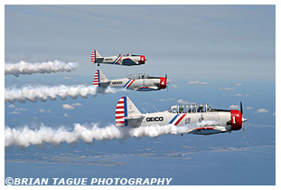 Skytypers SNJ-2