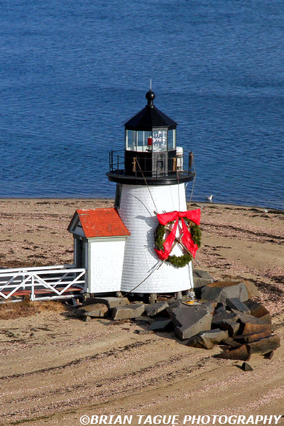 BrantPointLight-433_0141-crp1
