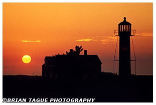 Monomoy Point Light sunset