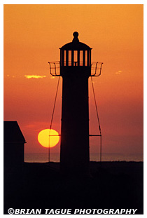 Monomoy Point Light sunset