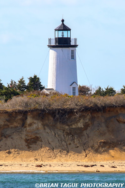 CapePogeLight-441_1221-crp2