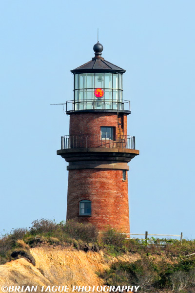 GayHeadLight-434_4048-crp2
