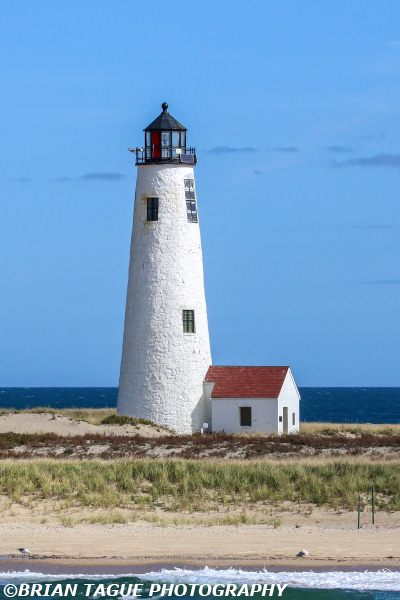 GreatPointLight-441_118
