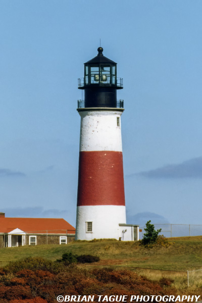 SankatyHeadLight-173-1-crp1