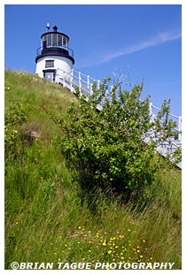 OWL'S HEAD LIGHT