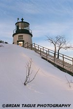 OWL'S HEAD LIGHT