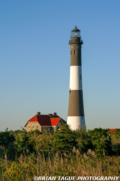 FireIslandLight-376_767