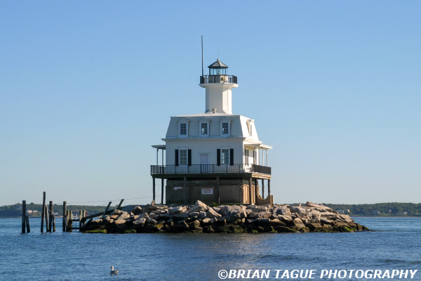 LongBeachBarLight-377_7800