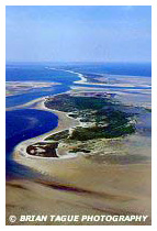 North Monomoy Island aerial