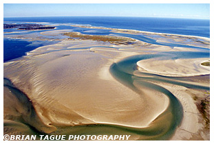 North Monomoy Island aerial