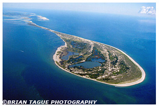 South Monomoy Island aerial