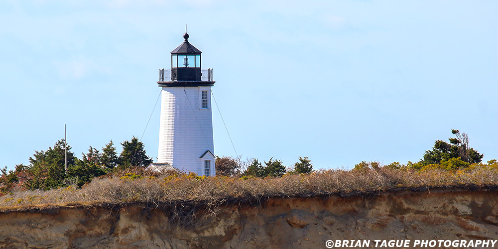 CapePogeLight-441_1221-crp1