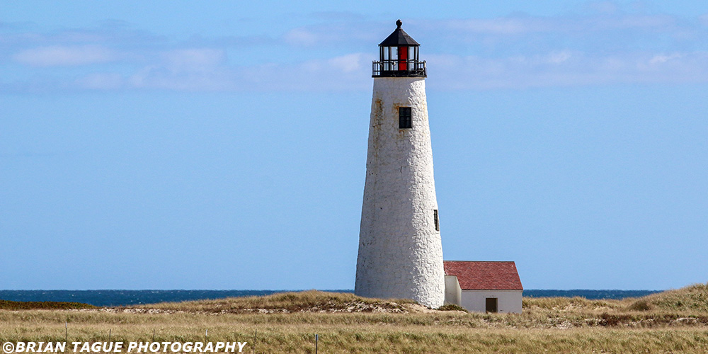 GreatPointLight-441_1134