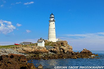 BostonLight-439 3674-adj-L