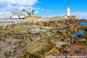 BostonLight-439 3684-adj-L