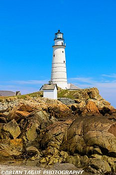 BostonLight-439 3685-adj-L