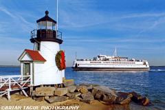 BrantPointLight-406-11-150-4
