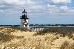 BrantPointLight-425 8039-150-4