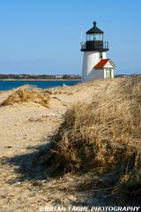 BrantPointLight-425 8127-150-4
