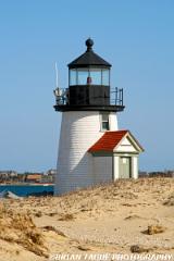 BrantPointLight-425 8130-150-4