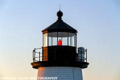 BrantPointLight-425 8627-150-4