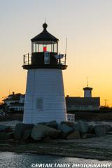 BrantPointLight-425 8658-150-4