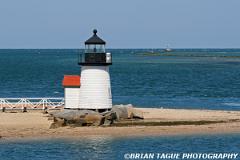 BrantPointLight-425 9058-150-4