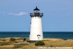 EdgartownHarborLight-441 1325-150-4