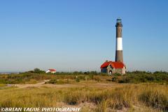 FireIslandLight-377 7756-150-4