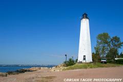 FiveMilePointLight-220 2008-150-4