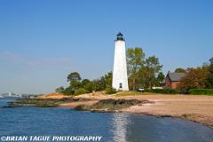 FiveMilePointLight-220 2029-150-4