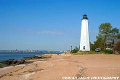 FiveMilePointLight-220 2030-150-4