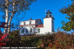 FortPointLight-455 6450-150-4