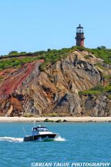 GayHeadLight-361 6181-crp1-150-4