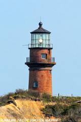 GayHeadLight-434 4046-crp1-150-4