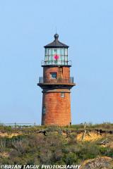 GayHeadLight-434 4063-crp1-150-4