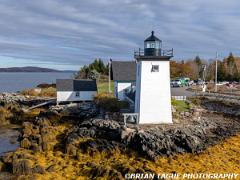 GrindlePointLight-510-1406-crp3-150-4